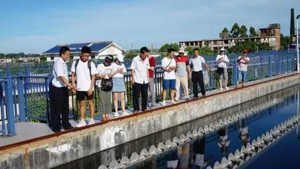 巡訪東山溪流，看我材料河小禹——污水處理與再生利用實踐探索